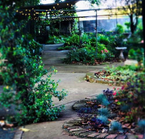 Hostal Rose & Ivy Guesthouse
