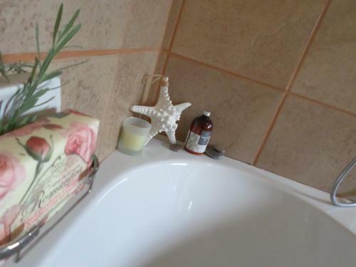 Hostal Rose & Ivy Guesthouse