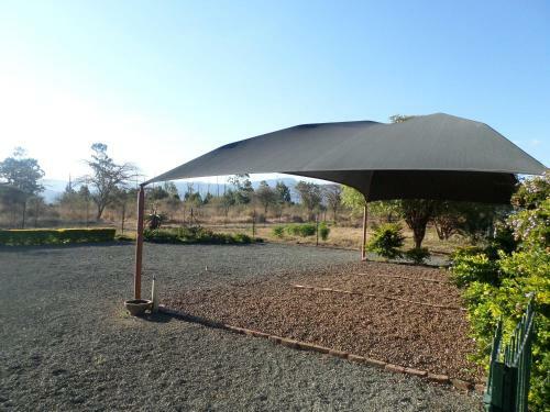 Hostal Rose & Ivy Guesthouse