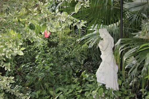 Hostal Rose & Ivy Guesthouse