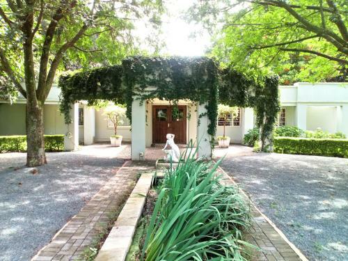 Hostal Rose & Ivy Guesthouse