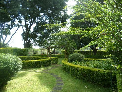 Hostal Rose & Ivy Guesthouse