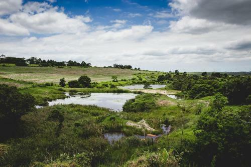 Hostal Oribi Gorge Guest Farm