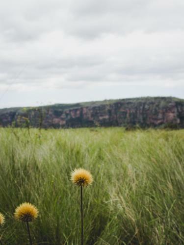 Hostal Oribi Gorge Guest Farm