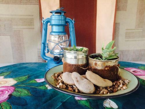 Hostal Kalahari Camelthorn Camping And B&B