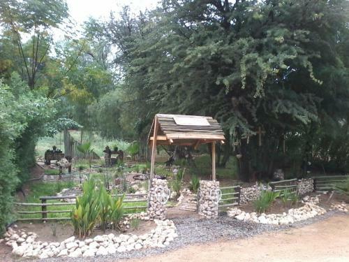 Hostal Kalahari Camelthorn Camping And B&B