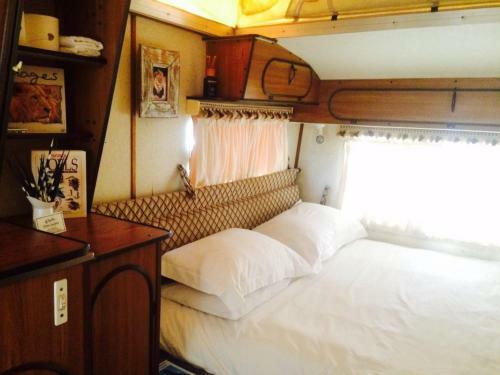 Hostal Kalahari Camelthorn Camping And B&B