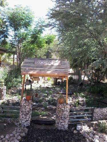 Hostal Kalahari Camelthorn Camping And B&B