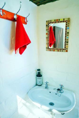 Hostal Kalahari Camelthorn Camping And B&B