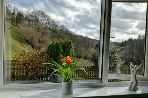 Hostal Neuadd Wen Guest House