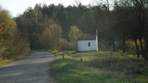 Hostal Aranyl� Vend�gh�z