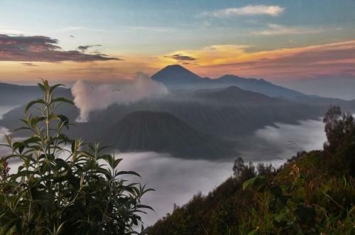 Hotel Plataran Bromo
