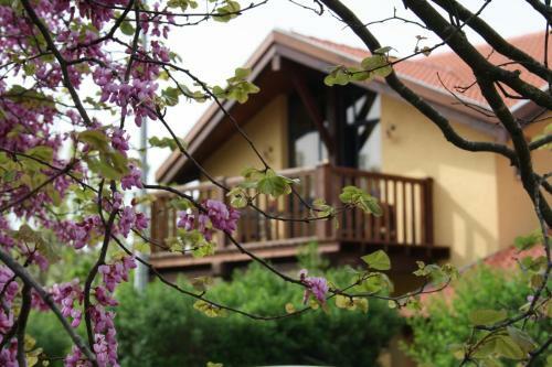 Lodge Suzanna In Odem