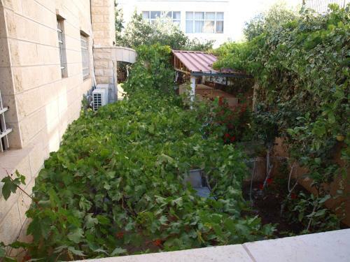 Apartamento Zalatimo
