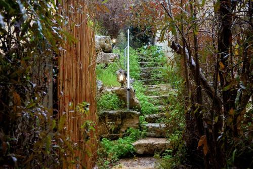 Lodge The Rose Trail