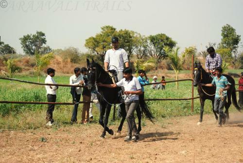 Hotel Araavali Trails - A Nature Resort