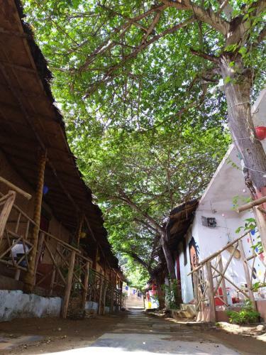 Hostal Jungle Tree Hampi