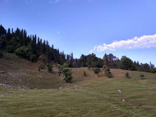 Hotel Chopta Meadows Camps