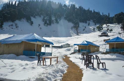Hotel Chopta Meadows Camps