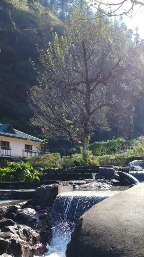 Hotel Carnoustie Himalayan Eco Resort