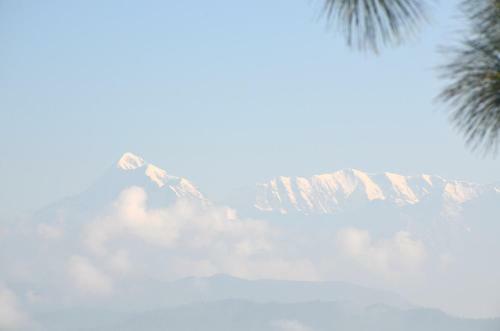 Hotel Kaafal Cottage Ranikhet