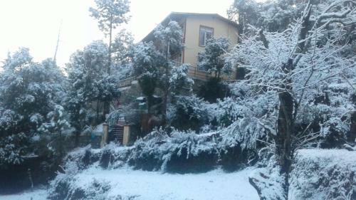 Hotel Kaafal Cottage Ranikhet