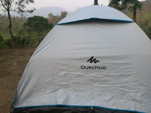Green Garden Tents