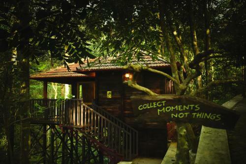 Hotel Wild Planet Jungle Resort