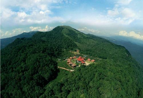 Hotel Wild Planet Jungle Resort