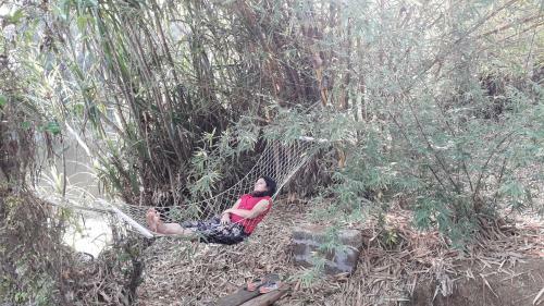 Blue Wings Home Stay