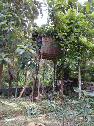 Blue Wings Home Stay
