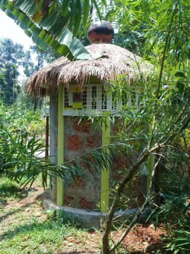 Blue Wings Home Stay