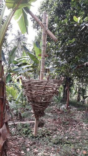 Blue Wings Home Stay