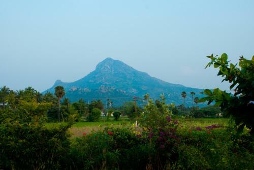 Hostal The Mountain Retreat