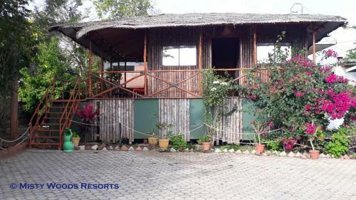 Hotel Misty Woods Resort