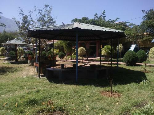 Hotel Misty Woods Resort