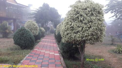 Hotel Misty Woods Resort