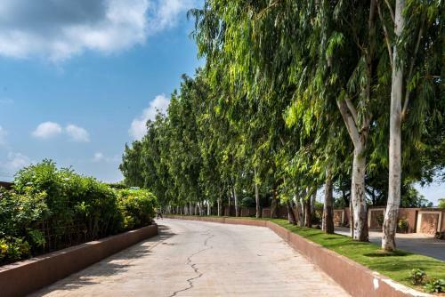 Green Paradise