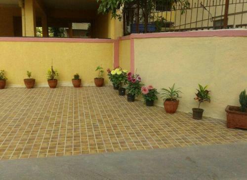 Bed & Breakfast 1 N 2 Bhk Service Apartment