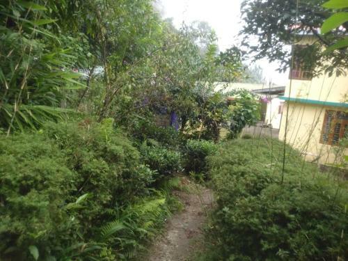 Pakyong Homestay Sikkim