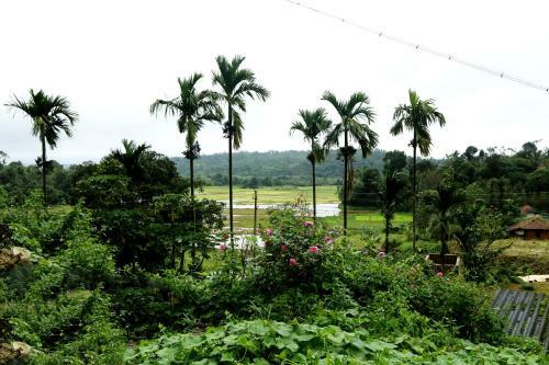 Hoysala Stayinn