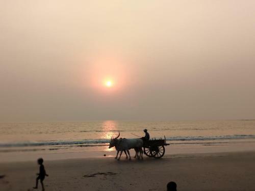 Bed & Breakfast Shree Villa Holiday Homes