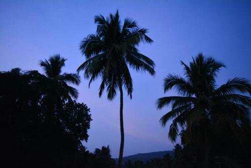 Bed & Breakfast Shree Villa Holiday Homes