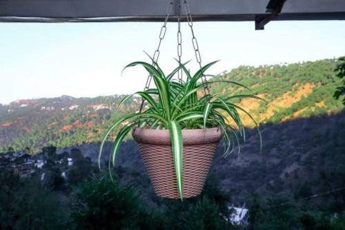 Nature View Villa Kasauli