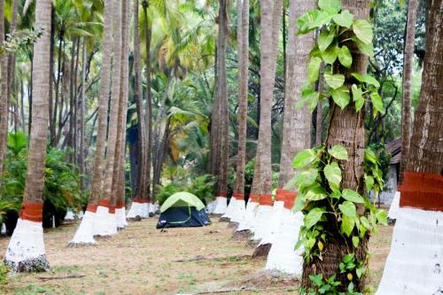 Hotel Le Pearl Resort