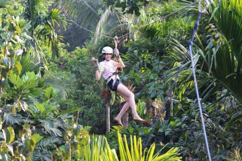 Hotel Jungle Book Resort