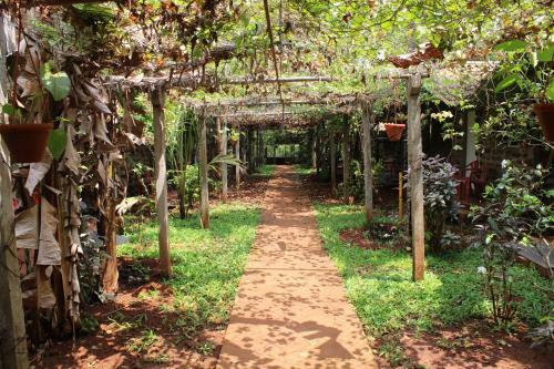 Hotel Jungle Book Resort