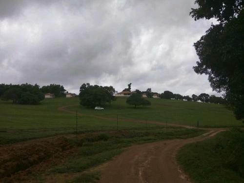 Green Grass Homestay