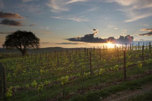 Agroturismo Agriturismo Poggio Al Sasso