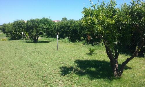Agroturismo Artemis